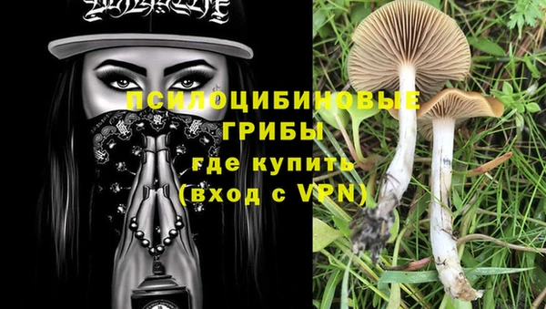 мет Алзамай