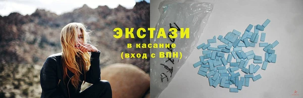 индика Абаза