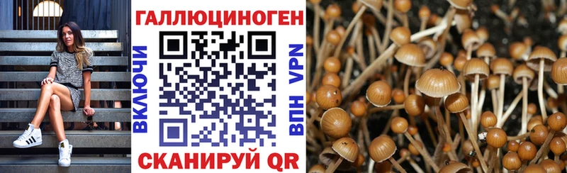 это какой сайт Отрадная Галлюциногенные грибы MAGIC MUSHROOMS